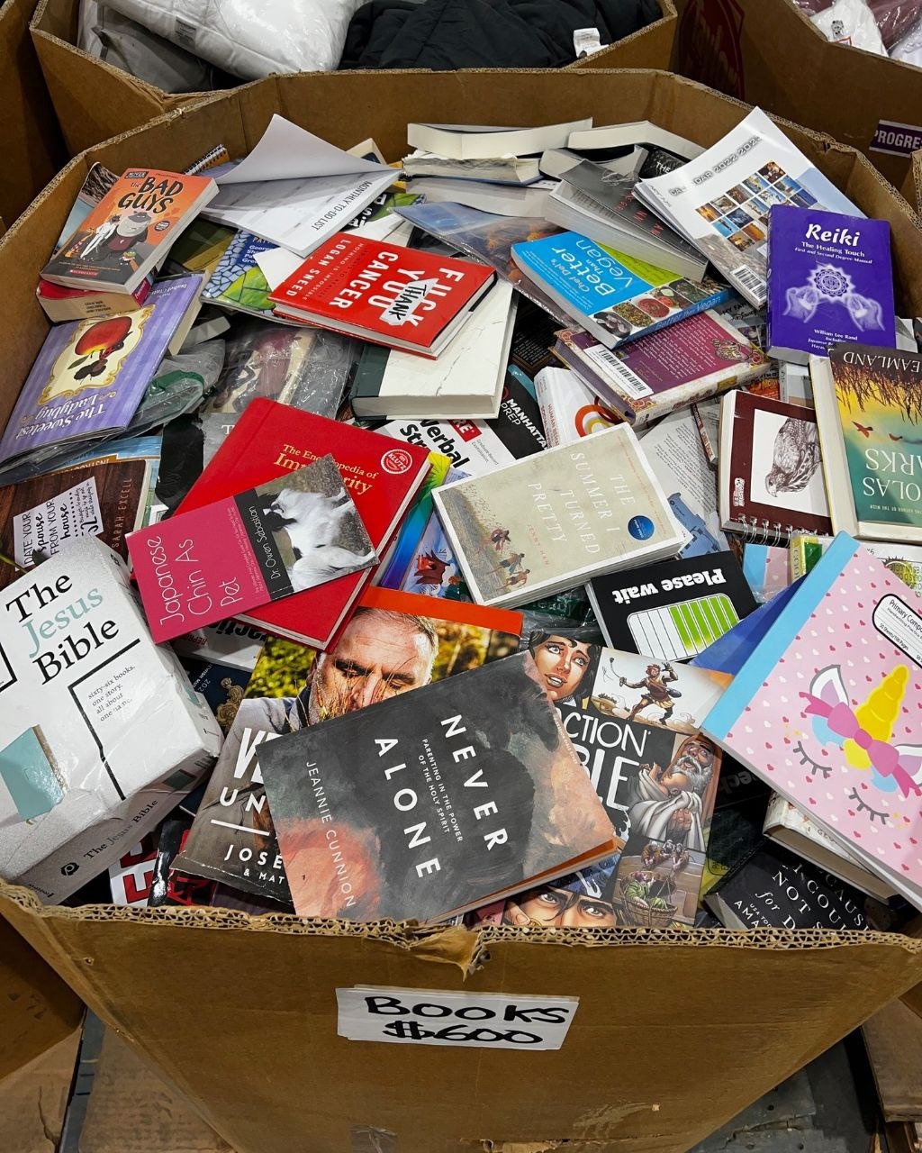 Buy a 300-Piece Wholesale Books Pallet – $400, Free Ship