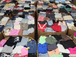 Target Plus Size Clothing Pallet: 700 Pieces Wholesale to Profit